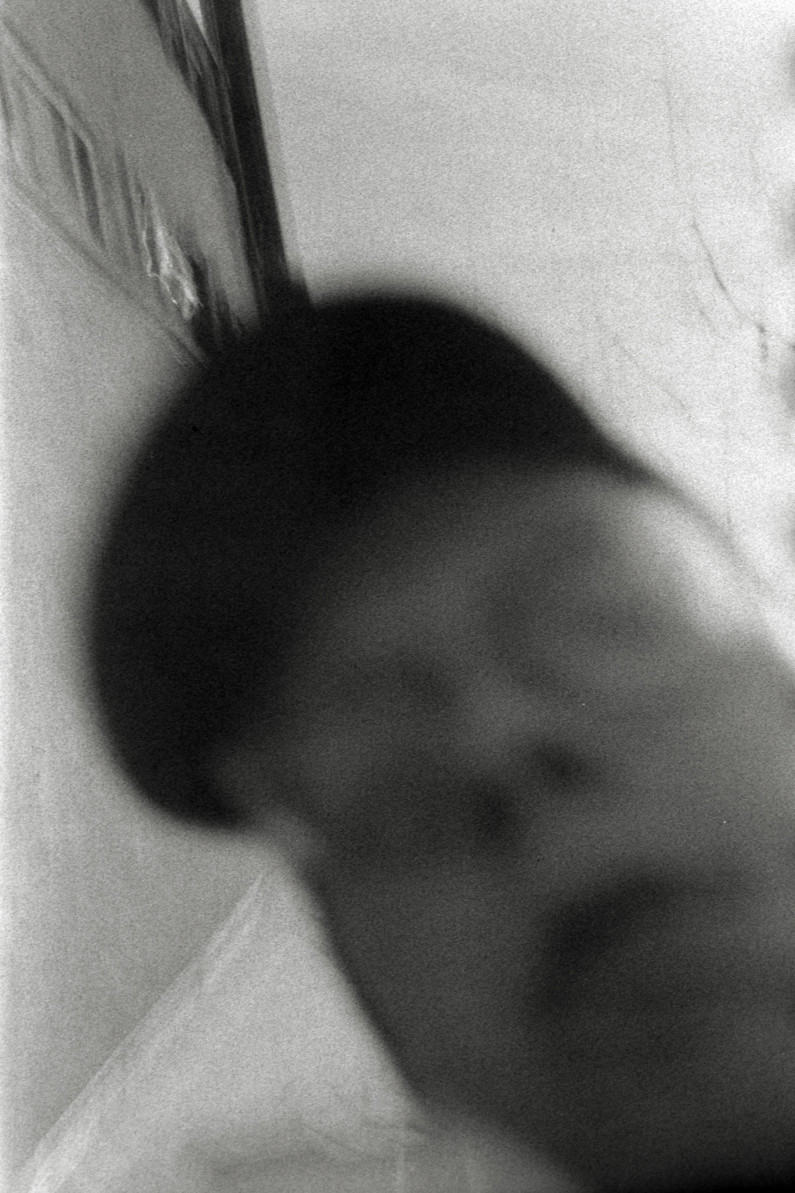 AHP F1995 04 008 sc240817 img02 NLP